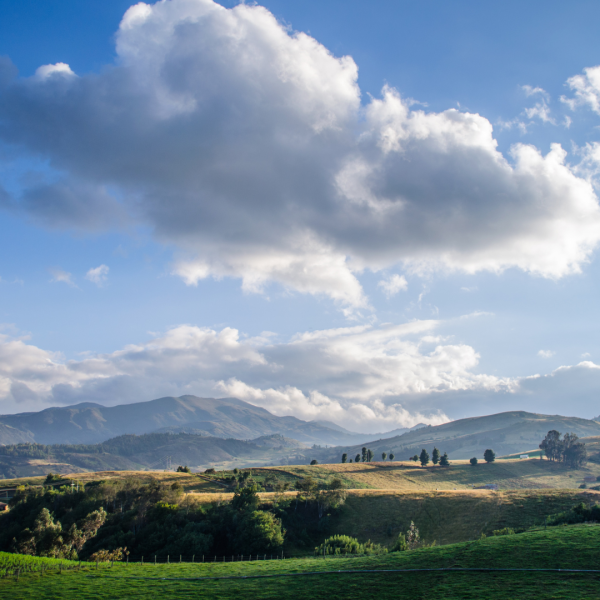 Gli investimenti sostenibili delle Fondazioni di origine bancaria